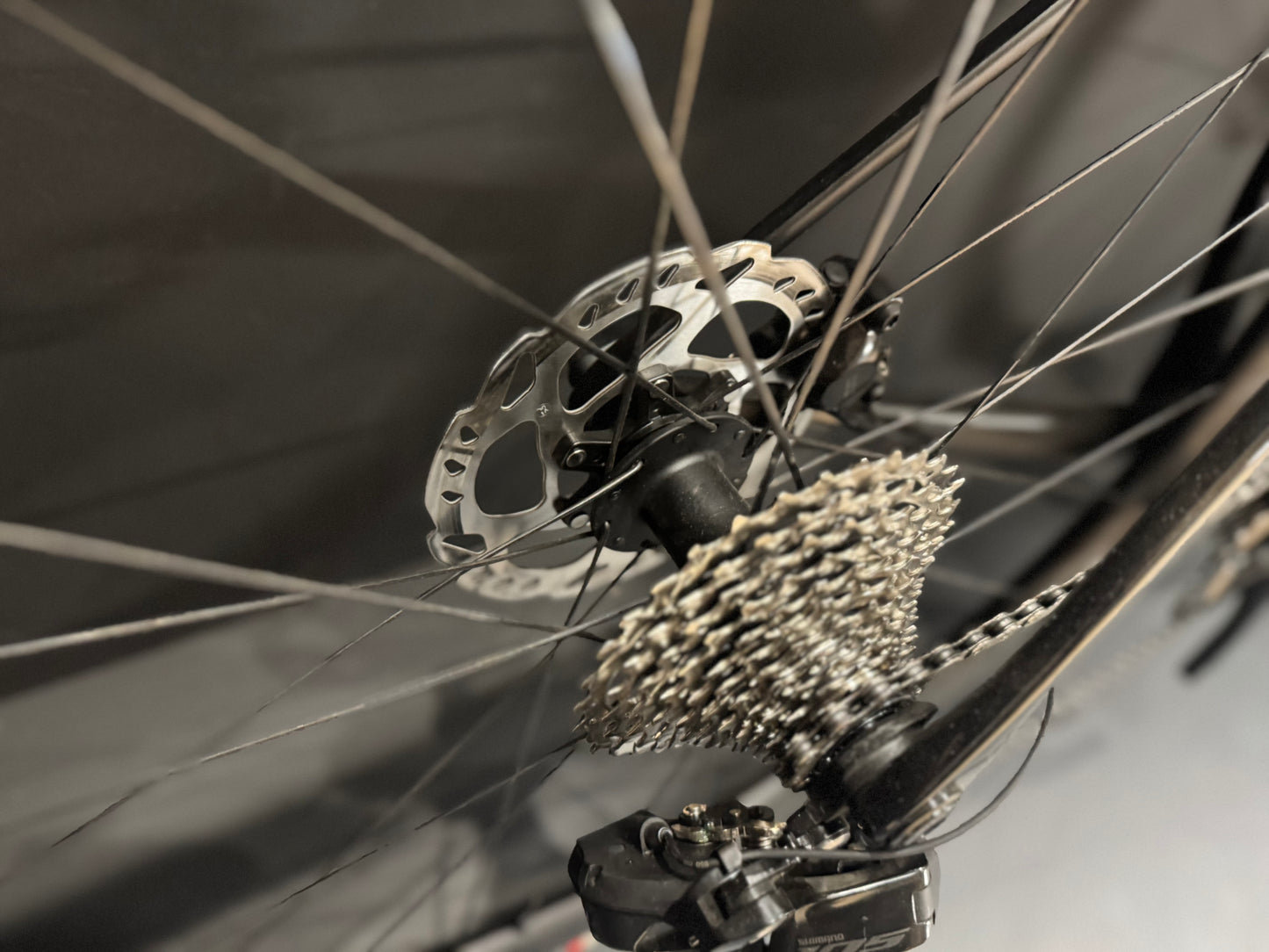 Trek Madone SL6 Gen 8 105 Di2 Carbon Disc Road Bike 2024 - M/L