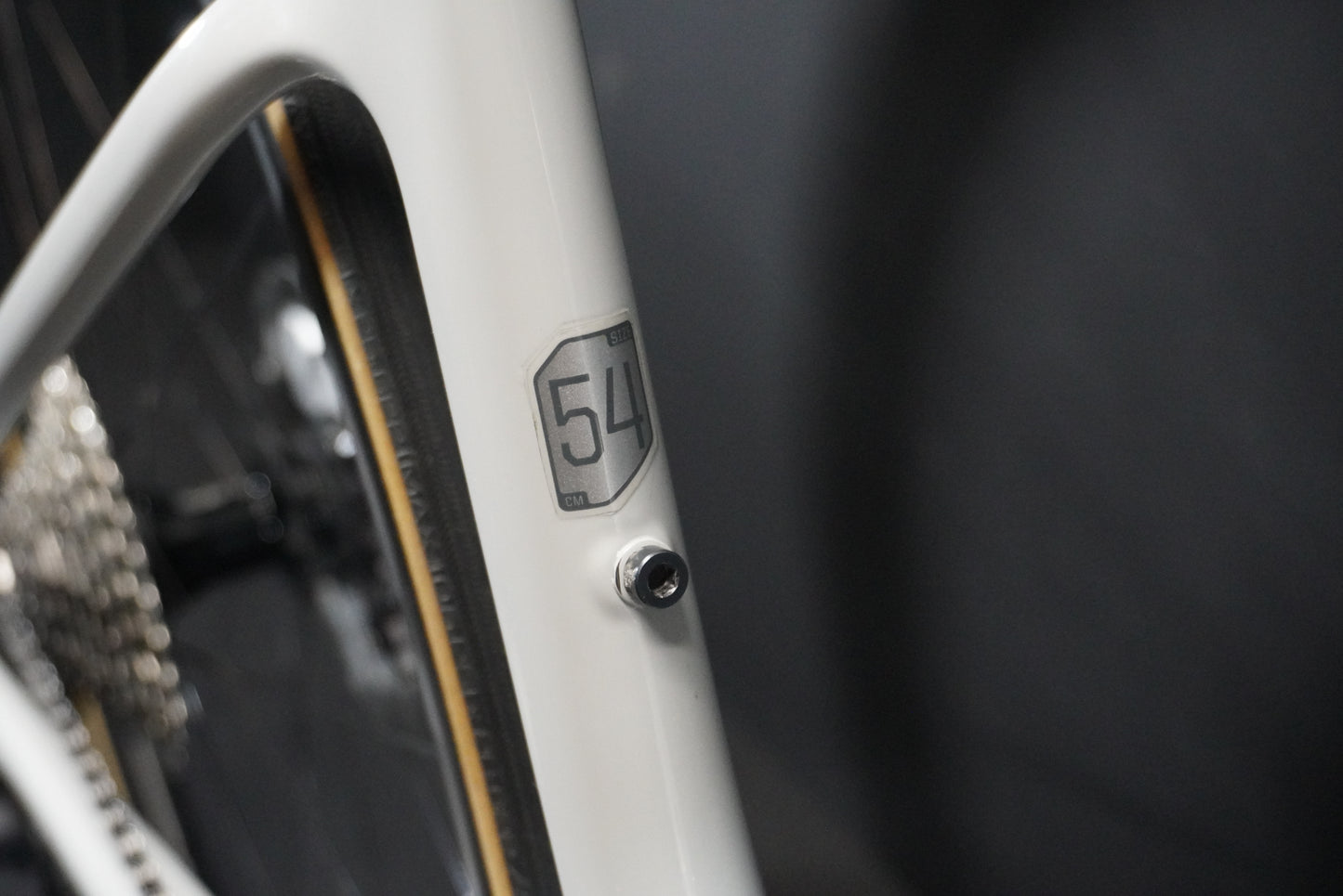 Cannondale Supersix EVO 4 Carbon Disc Road Bike 2025 - 54cm