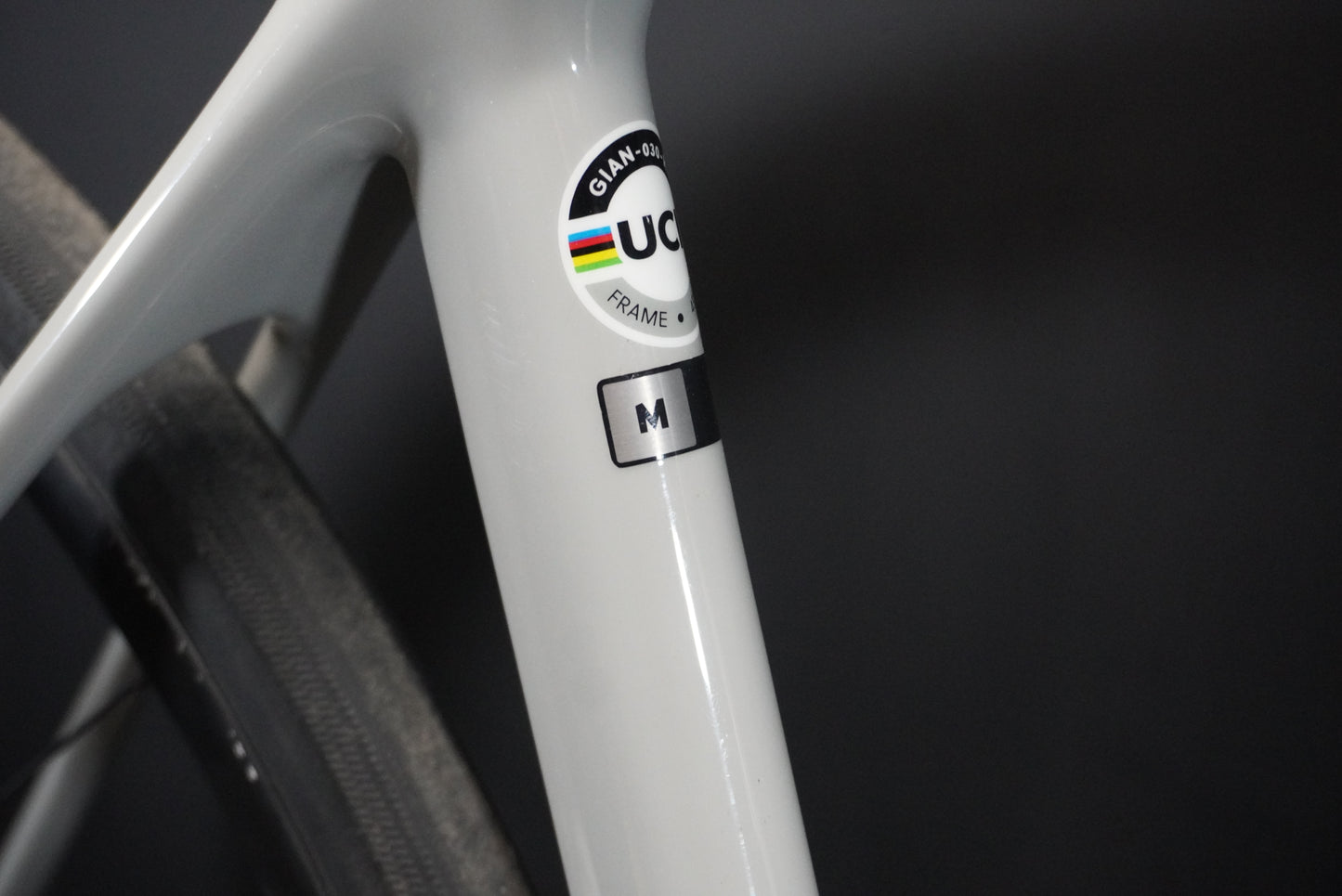 Giant TCR Advanced 1 Carbon Disc Road Bike 2021 - Medium