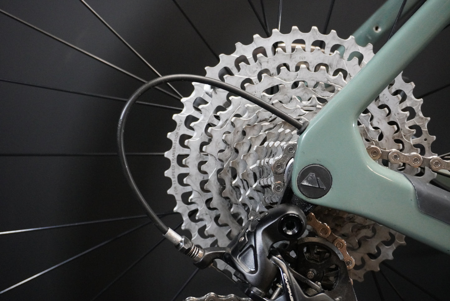 Canyon Grizl CF SL 8 1x Ekar Carbon Gravel Bike 2024 - XL