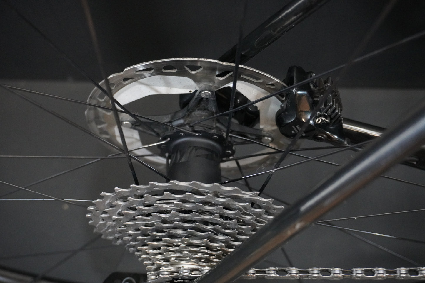 Orbea Orca M10i Replica Lotto Dstny Dura-Ace Di2 Carbon Disc Road Bike 2024 - 55cm