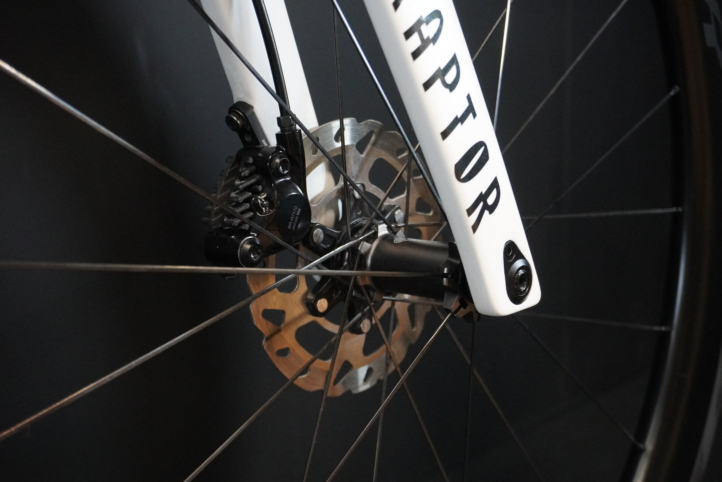 Raptor RL1 Di2 Carbon Road Bike 2024 - 56cm