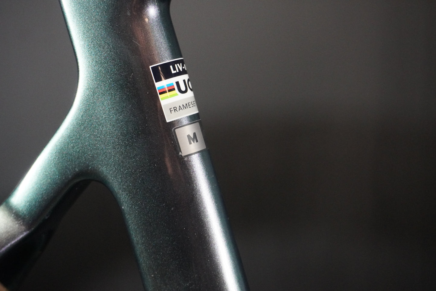 Liv EnviLiv Advanced 1 Rival AXS Carbon Disc Road Bike 2023 - Medium
