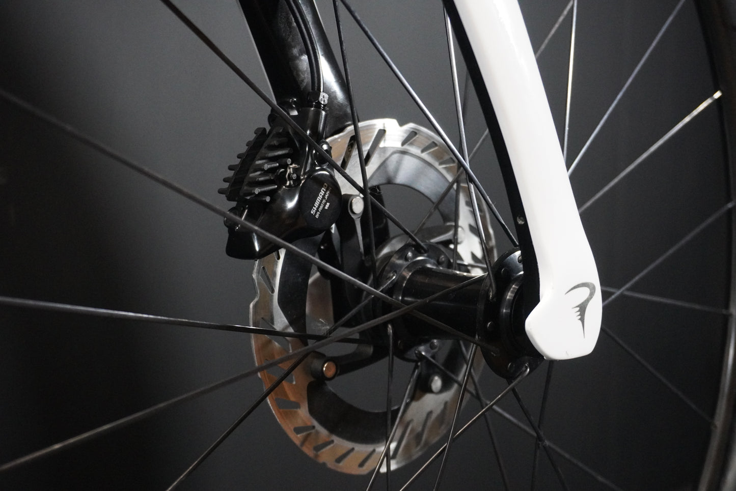 Pinarello Dogma F Carbon Disc Road Bike 2025 - 515mm