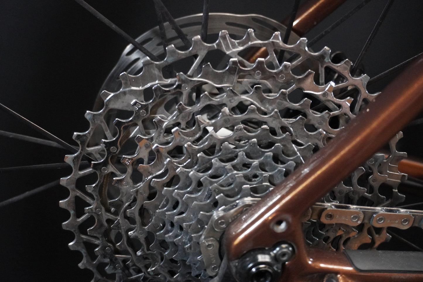 Focus Atlas 8.9 Rival AXS Carbon Gravel Bike 2024 - XL