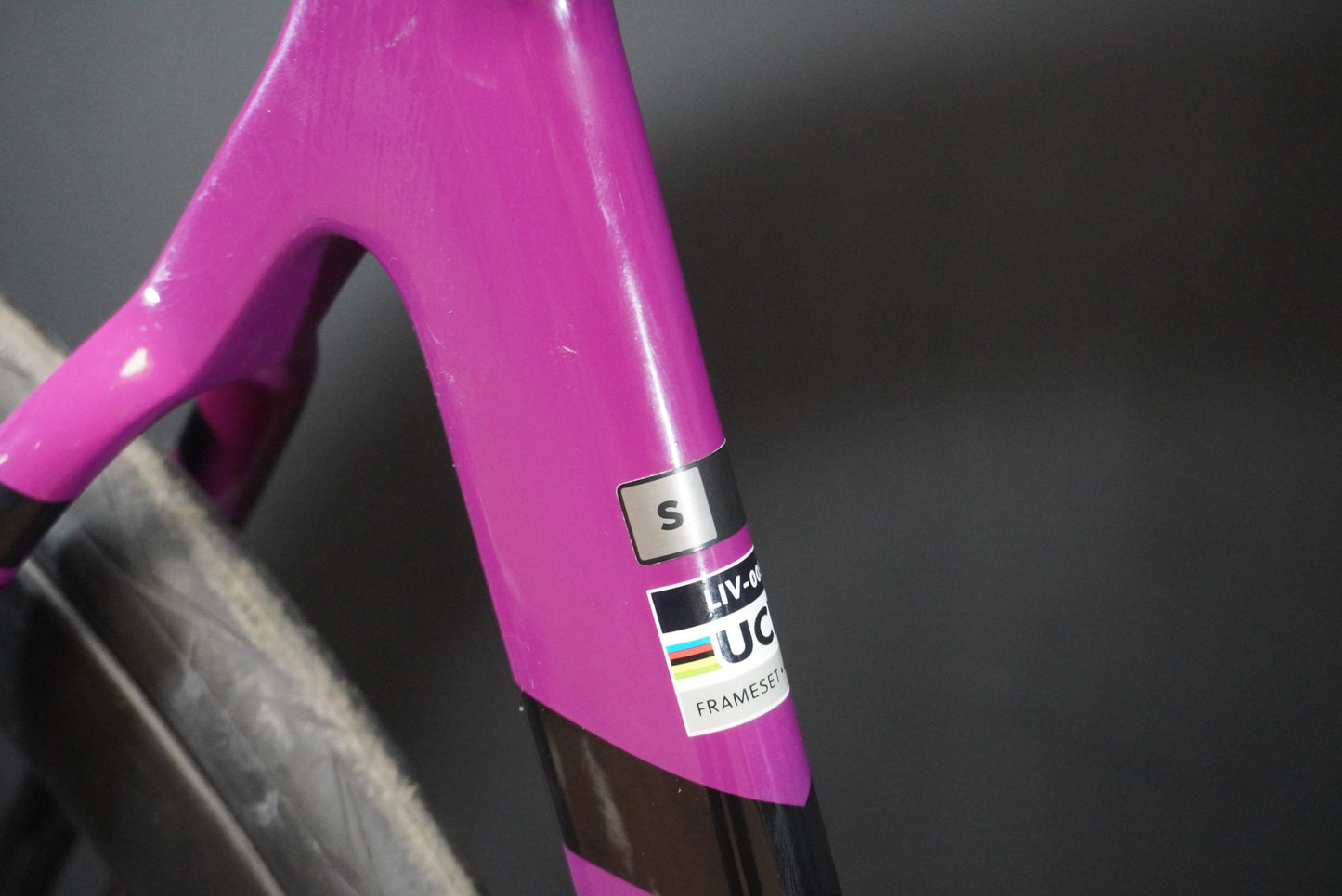 Liv EnviLiv Advanced SL Di2 Carbon Disc Road Bike 2023 - Small